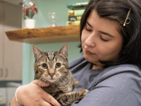 A Sploot Vets staff member holding a cat.