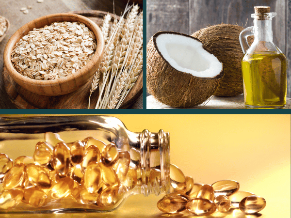 A photo showing the most common ingredients in dog skin moisturizers