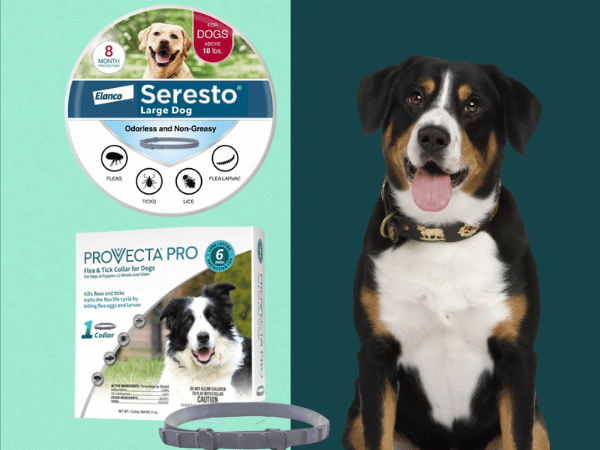 Flea and tick collars for dogs to prevent or control flea and tick infestations