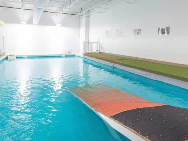 A photo of CRCG’s dog pool near Colorado Springs