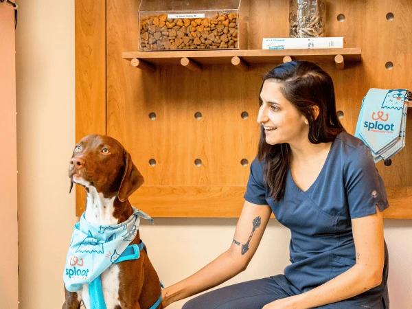 A dog sitting in the waiting room of Sploot Veterinary Care with one of Sploot’s vet techs to get skin checked for ringworm and other skin conditions