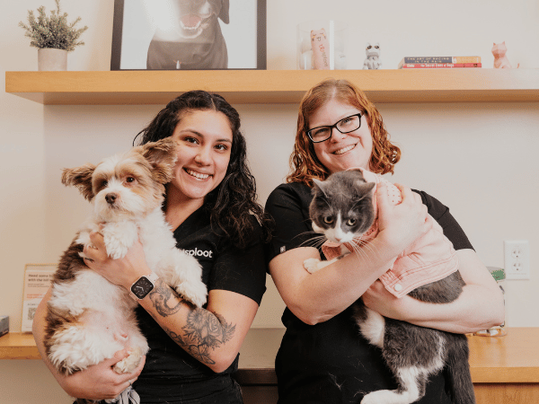 A dog and cat enjoying continuity of care at Sploot Vets, an all-in-one vet clinic in Denver, Colorado Springs, and Chicago