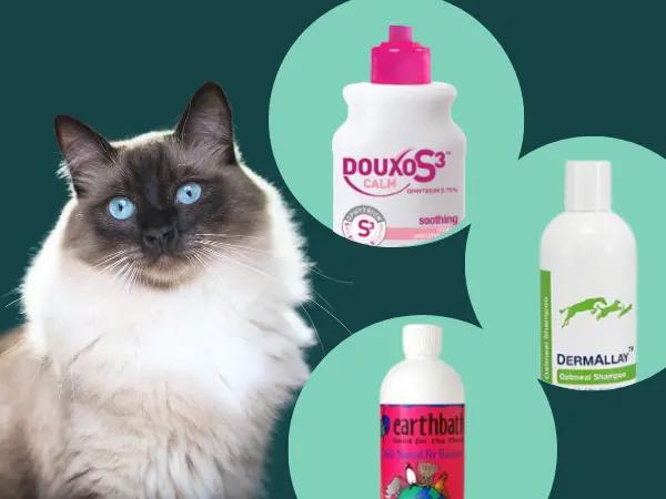 A cat beside bottles of cat shampoo and oatmeal shampoo for cats
