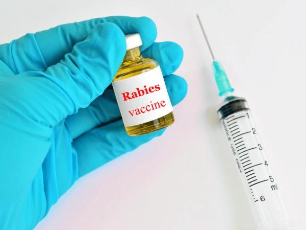 Close up of a vial of Rabies vaccine for dogs, one of the most widely known core dog vaccines