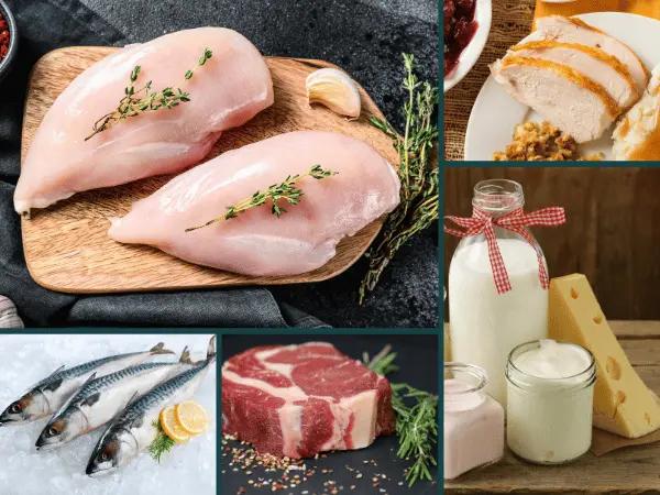 Photos of chicken meat (a source of chicken allergy in cats), turkey meat, fish, beef, and dairy - all potential triggers of food allergies in cats