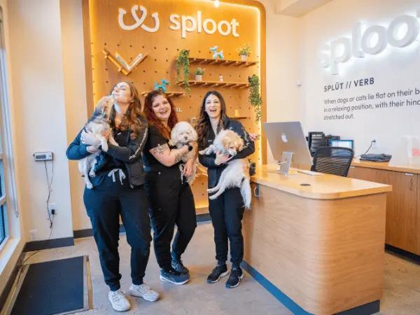 Veterinarians at Sploot Vets happily holding pets, representing the amazing perks and great quality of pet care that comes with the SplootPack™ pet care membership
