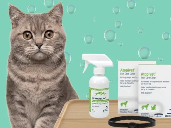 A cat sitting beside various kinds of cat moisturizers that can help treat cat dry skin and cat dandruff when recommended by a veterinarian