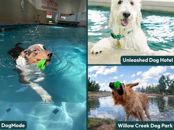A collage of photos of DogMode, Unleashed Dog Hotel, and Willow Creek Dog Park, swimming spots near Salt Lake City