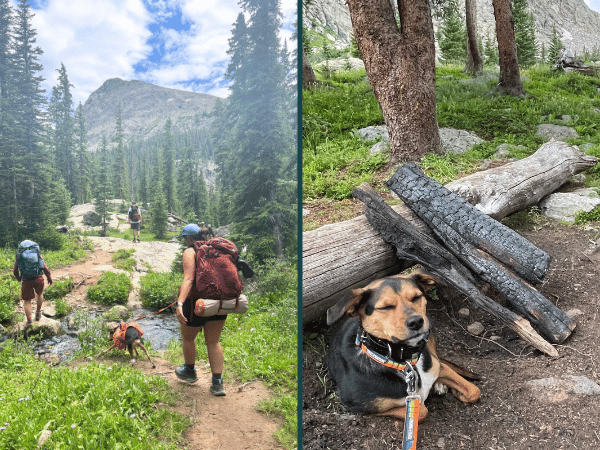 Photos of a pet parent hiking with a dog using a sturdy leash with restricted length for safety during hiking