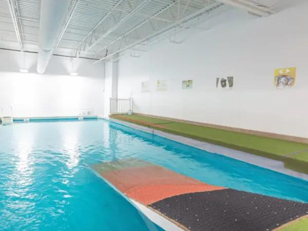The indoor dog pool of Canine Rehabilitation & Conditioning Group, one of the places to take your dog swimming in Denver