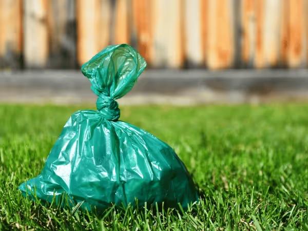 Close up of a dog poop bag containing poop that tells a lot about a dog's health