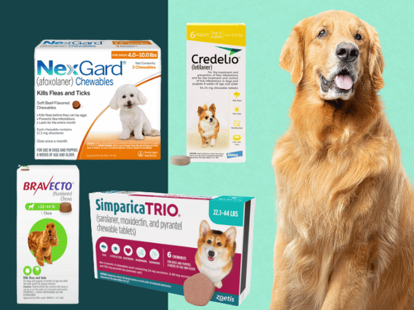 Oral medications or flea and tick pill for dogs