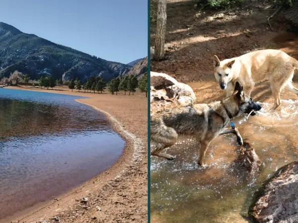 Side-by-side photos of Stratton Open Space and Bear Creek Dog Park, two destinations for dog swimming in Colorado Springs