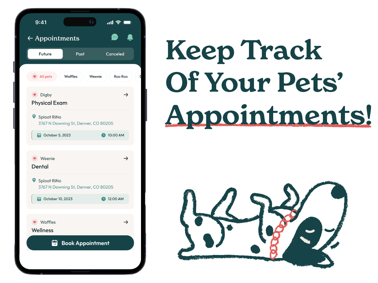 A view of the veterinary appointment management feature of the Sploot Vets app, a veterinary app that makes pet parenting easy