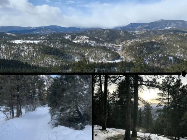 A collection of photos of Bear Creek Trail to Panorama Point from Alltrails.com
