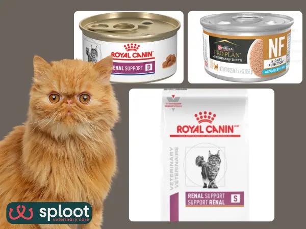 A simple infographic showing examples of low-phosphorus cat food or kidney cat food from Royal Canin and Purina Pro Plan