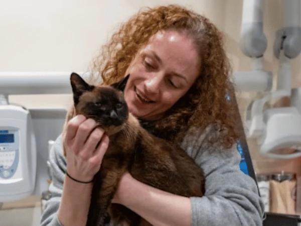 A veterinarian at Sploot Veterinary Care, Denver, Colorado comforting a cat before extracting blood for a blood test