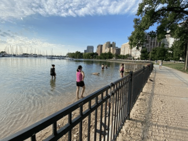 Pet parents and pups in Belmont Dog Beach, one of the best dog beaches in Chicago