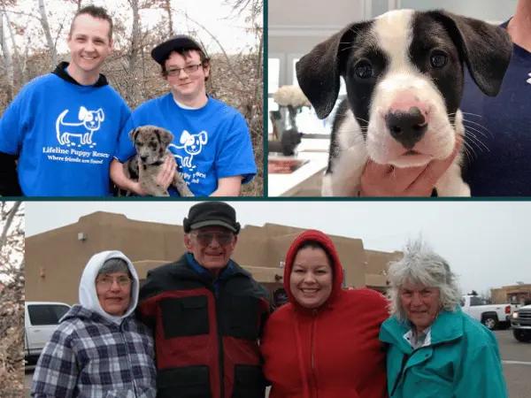 Photos of Lifeline Puppy Rescue, a puppy shelter near Denver, Colorado