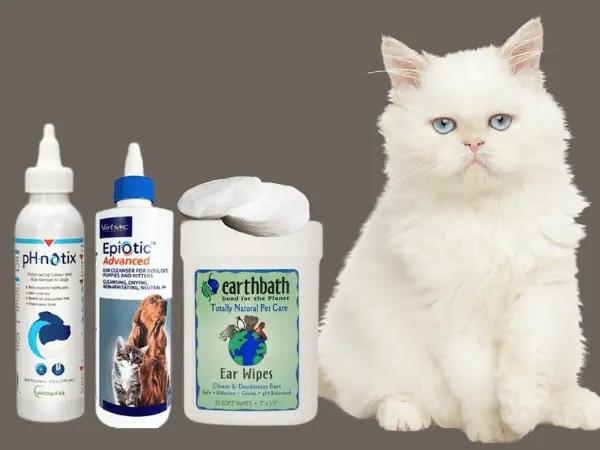 A cat sitting beside different brands of cat ear cleaners or ear wash for cats that can be used regularly