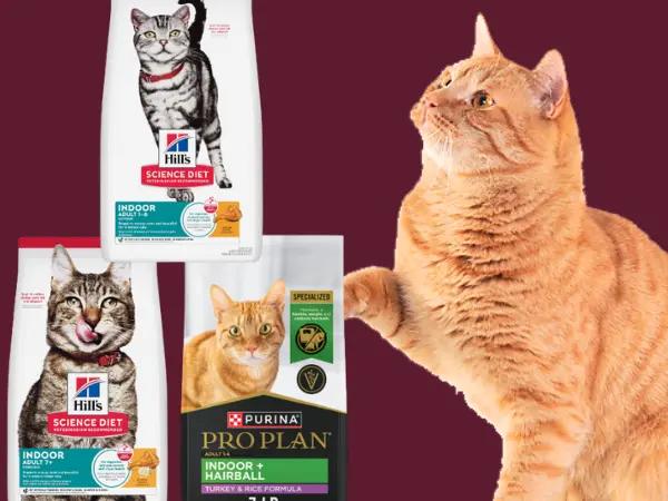 Examples of some of the best dry cat food for indoor cats from trusted brands like Hill’s Science Diet and Purina