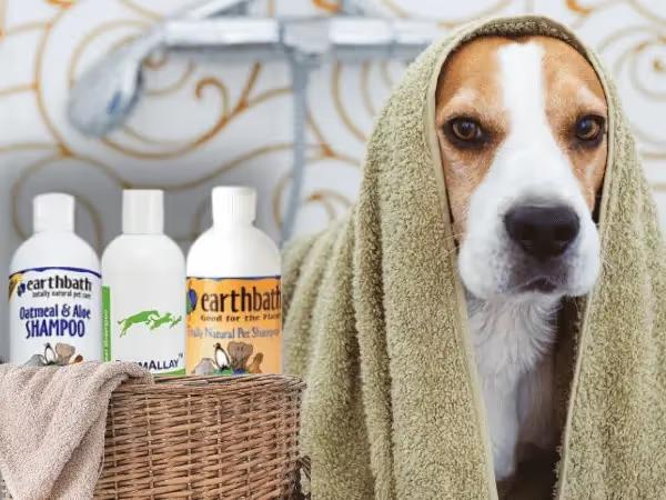 A dog in a bath towel inside a bathtub beside a basket of the best oatmeal shampoo for dogs