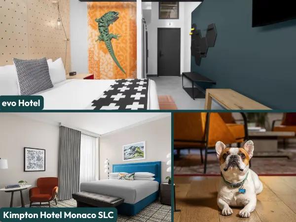 A collage of photos of Kimpton Hotel Monaco Salt Lake City and evo Hotel rooms, dog-friendly hotels in Salt Lake City