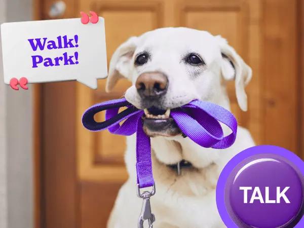 A dog saying “Walk! Park!” next to a talk button representing how to teach a dog to talk with buttons