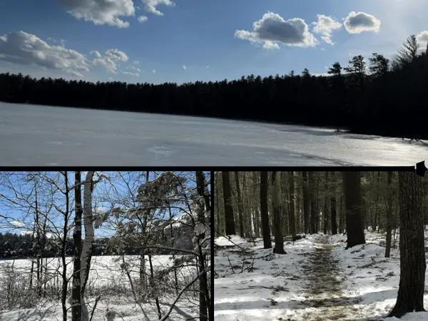 : A collage of one of the best dog friendly trails in Denver during winter, Echo Lake Trail