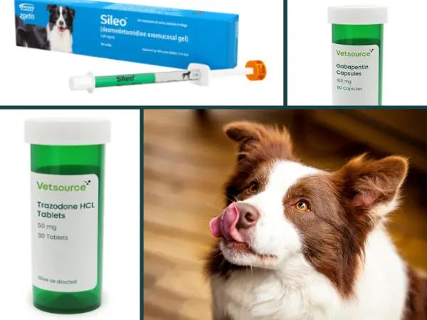 A collage showcasing anti-anxiety meds for dogs featuring trazodone, gabapentin, and Sileo or dexmedetomidine