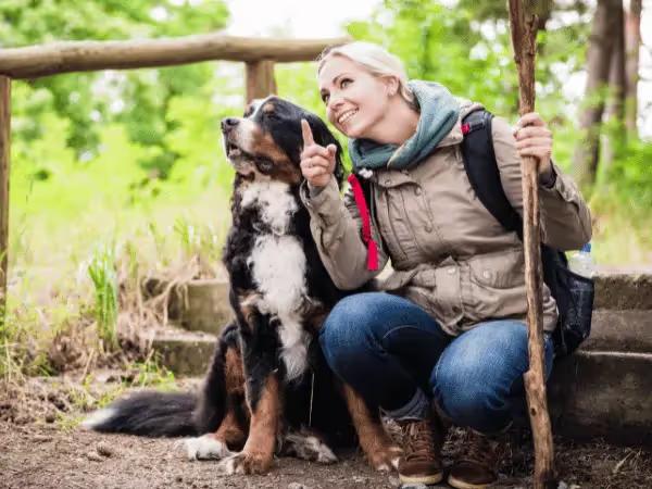 A pet parent and dog enjoying a dog-friendly hike near Denver
