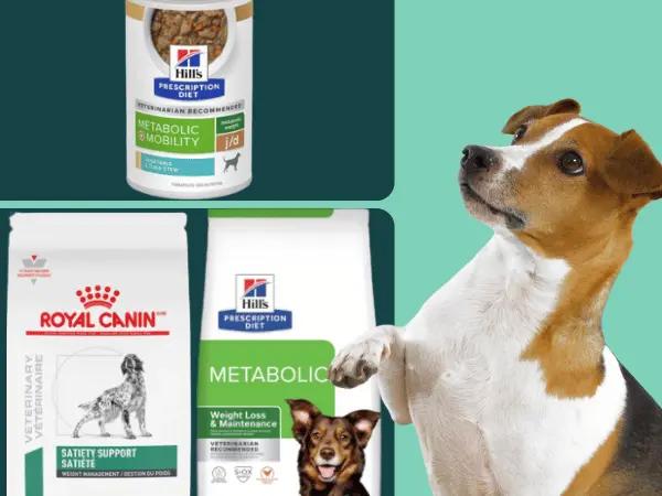 A slightly chubby dog beside examples of the best dog food for weight loss