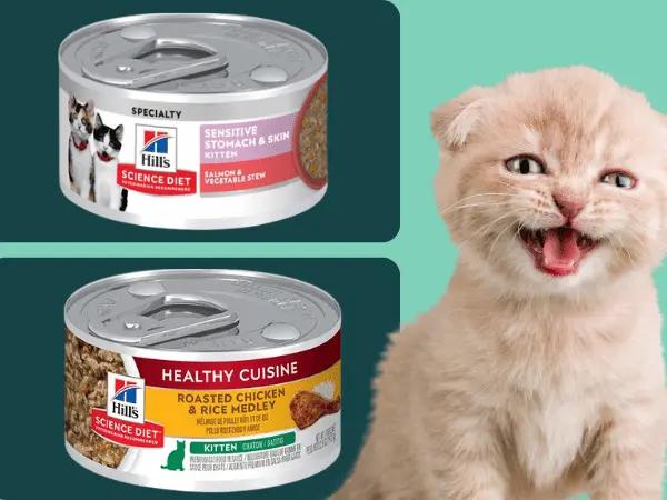 Examples of some of the best kitten wet food by Hills Science Diet