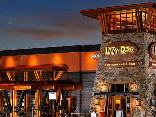 Lazy Dog, a dog-friendly restaurant in Denver with a dog menu, allowing pet parents to participate in the dog-friendly activity of dining with their pup