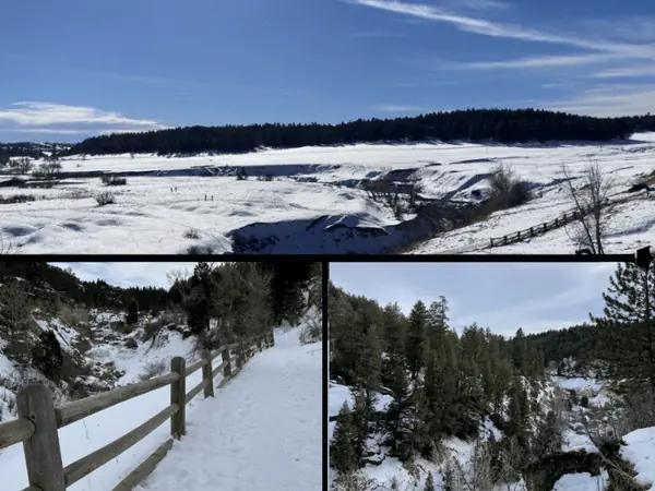 A collage of one of the best dog friendly hikes in Denver during winter, Castlewood Canyon Falls Trail
