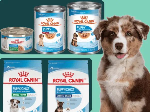 Examples of the best dog food for puppies small breed and best large breed puppy food by Royal Canin