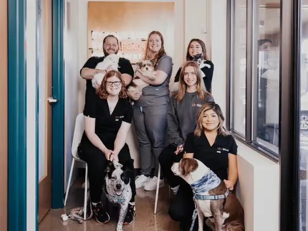 Sploot veterinarians with dogs and cats, representing SplootPack™, the pet care membership offered by Sploot Vets.