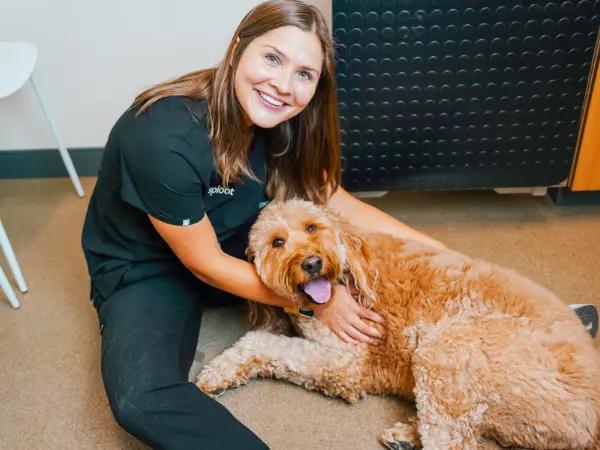 A photo of a dog brought to Sploot Veterinary Care, a vet clinic in Denver, Chicago, and Colorado Springs for personalized arthritis in dogs treatment