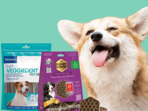 A dog beside the packaging of some of the best dental treats for dogs from CET and Yummy Combs