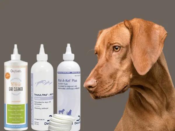 A dog sitting beside examples of some of the best dog ear cleaners that are medicated and only to be used with veterinary guidance
