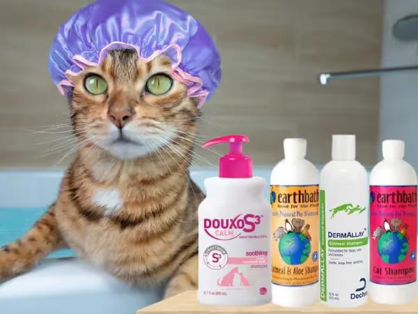 A photo of a cat having a bath with bottles of cat shampoo and oatmeal shampoo for cats in the foreground