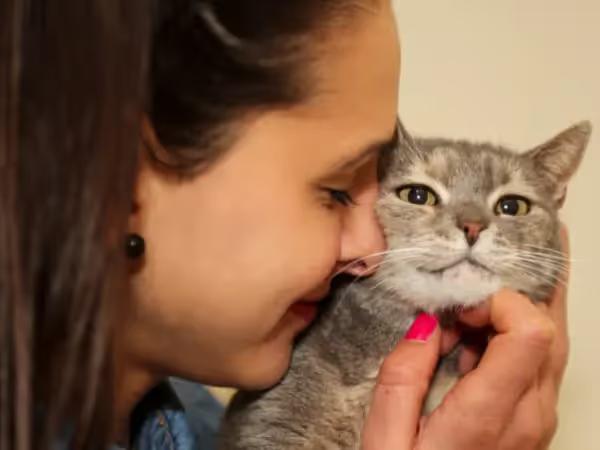 A woman hugging a calm cat, representing the outcome of following the steps on how to socialize a kitten