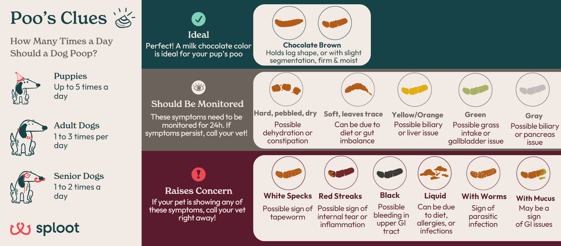 A comprehensive infographic about healthy dog poop vs unhealthy dog poop