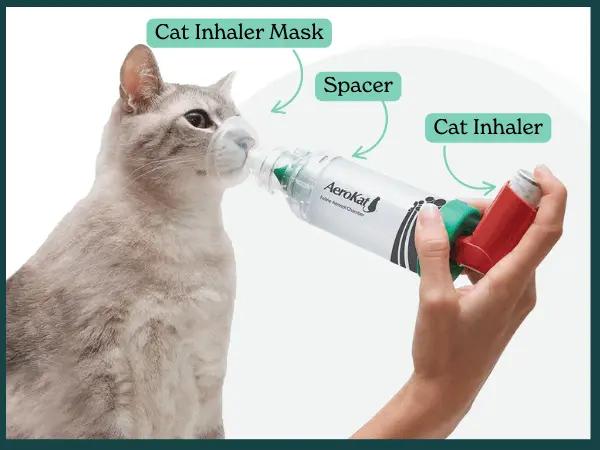 A photo of a cat inhaler with the parts labeled: cat inhaler, spacer, and cat inhaler mask