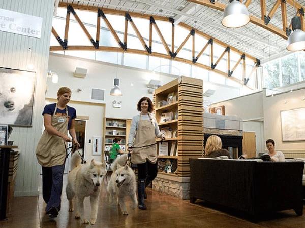 The inside of PAWS Chicago, a dog shelter in Chicago where one can adopt a dog