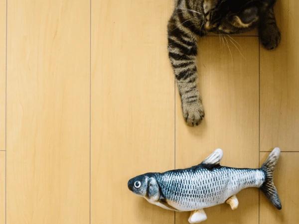 Top view of a cat playing with a fish-like kicker pillow, showing one of the games for cats that cats can do solo