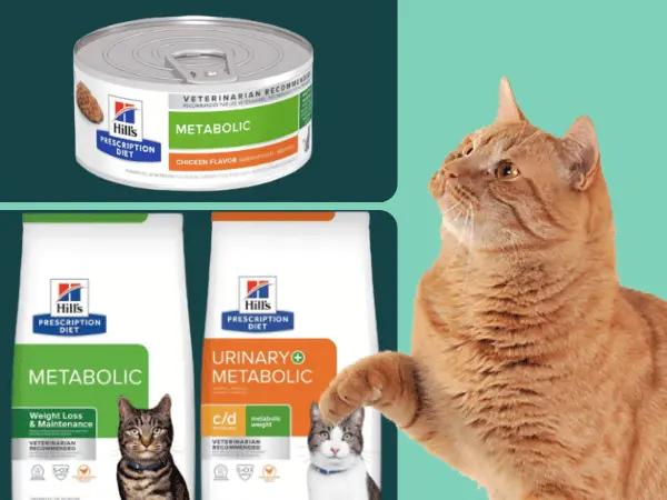A cat beside examples of some of the best cat food for weight loss