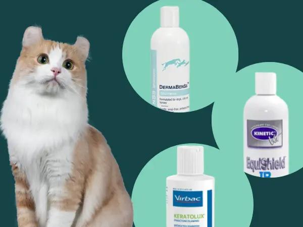 A cat beside bottles of medicated cat shampoo