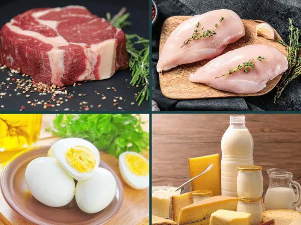 A photo showing beef, chicken, eggs, and dairy, common sources of food allergies in dogs like chicken allergy in dogs