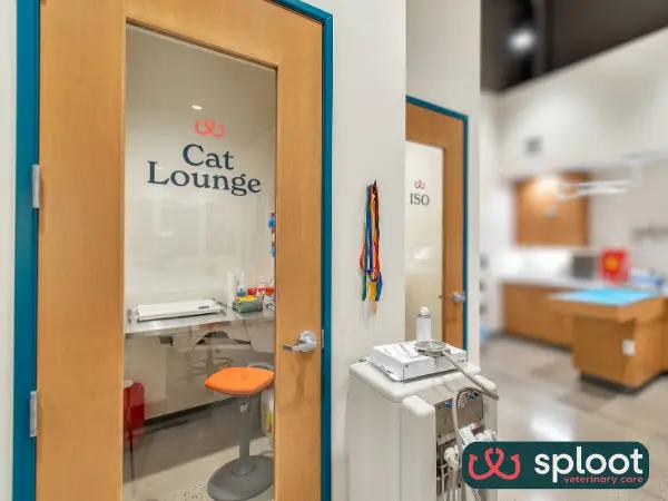 A photo of the cat lounge in Sploot Veterinary Care, one of the best Fear Free vet clinics for cats or cat veterinarians in Denver, Colorado